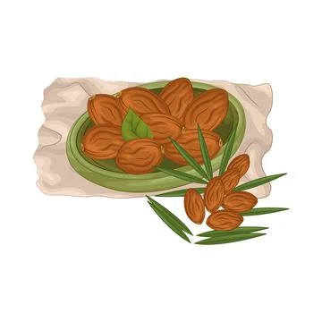 Dates Fruit Illustration Stock Illustration