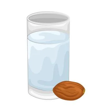Dates Fruit Illustration Stock Illustration