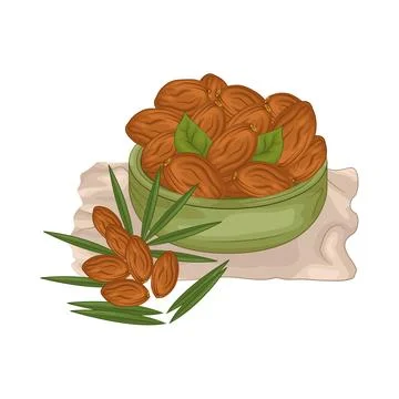 Dates Fruit Illustration Stock Illustration