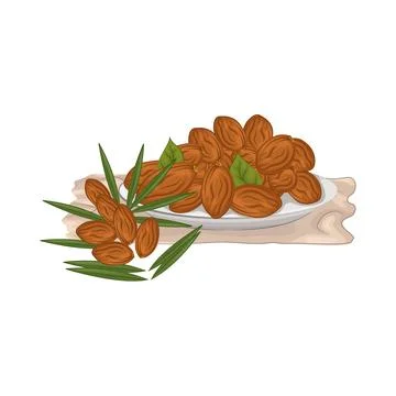 Dates Fruit Illustration Stock Illustration