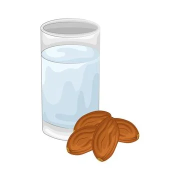 Dates Fruit Illustration Stock Illustration