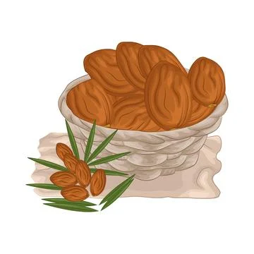 Dates Fruit Illustration Stock Illustration