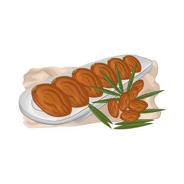 Dates Fruit Illustration Stock Illustration