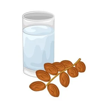 Dates Fruit Illustration Stock Illustration