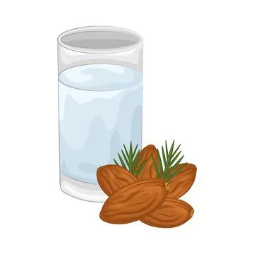 Dates Fruit Illustration Stock Illustration