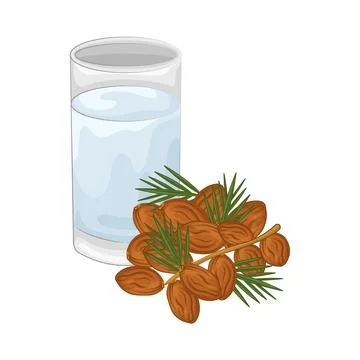 Dates Fruit Illustration Stock Illustration