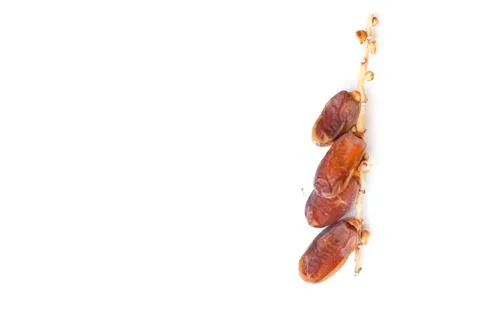 Dates fruit isolated on a white background. Top view. Flat lay pattern. Stock Photos