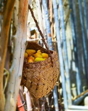 Dates fruit in palm leaf box, food nutrition source 스톡 사진