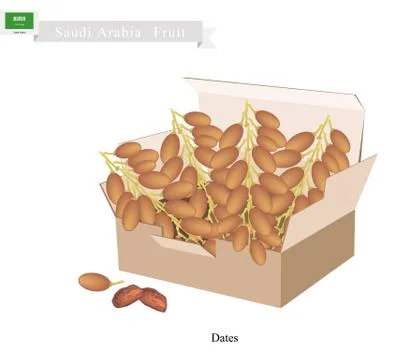 Dates Fruit, A Popular Fruit in Saudi Arabia Stock Illustration