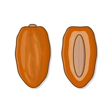 Dates Fruit Ramadan Vector Icon Illustration. Dried Fruit Flat Icon Stock Illustration