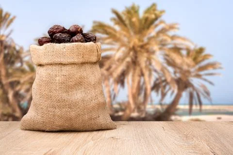 Dates fruit in sack bag, background is dates fruit tree Stock Photos