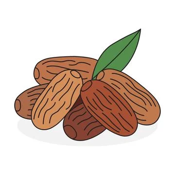 Dates Fruit Vector Illustration - Fresh Organic Dates with Green Leaf for R.. Stock Illustration