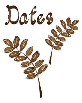 Dates Stock Illustration
