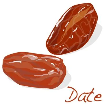 Dates isolated. Vector. Stock Illustration
