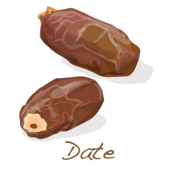 Dates isolated. Vector. Stock Illustration