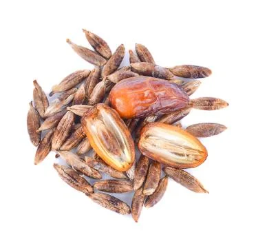 Dates isolated on white background Stock Photos