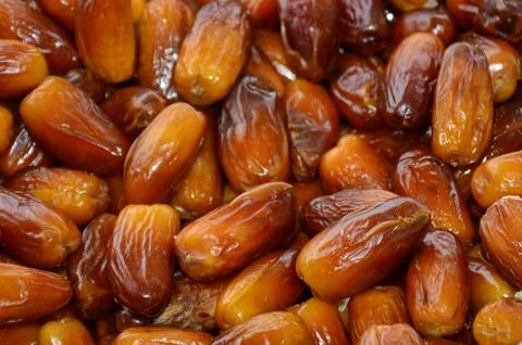 Dates palm Foto stock