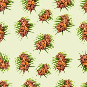 Dates pattern Stock Illustration