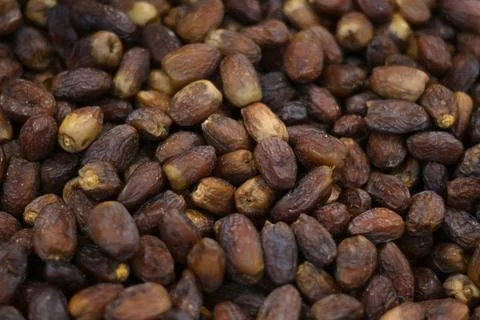 Dates Stockfoto's
