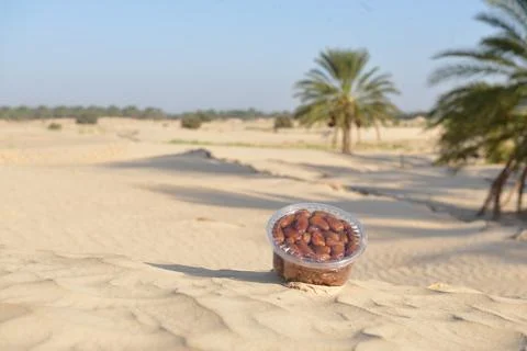 Dates in Plastic Container on Desert Sand Fotos de archivo
