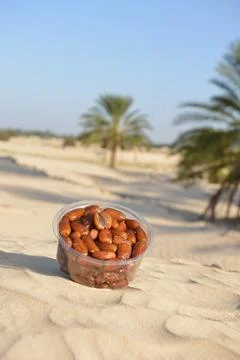 Dates in Plastic Container on Desert Sand Fotos de archivo