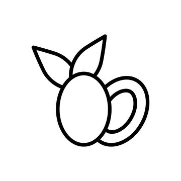 Dates Ramadan icon. Simple line vector elements of islam icons for ui and ux Illustrazione stock