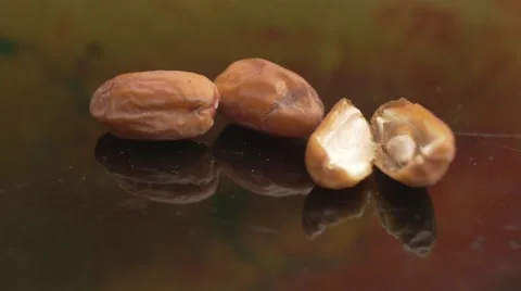 Dates on a reflective surface Video stock 62598002