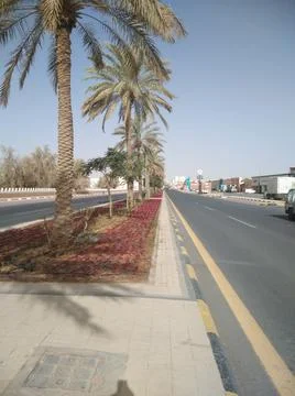 The Dates tree beside the highway Stock Photos