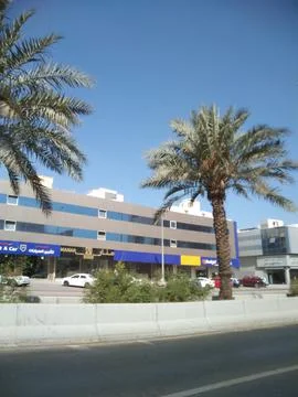 A Dates tree in the divider Stock Photos