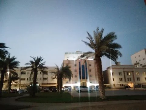 The dates tree front of the building Stock Photos