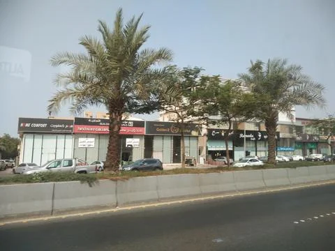The dates tree on the highway divider Foto stock