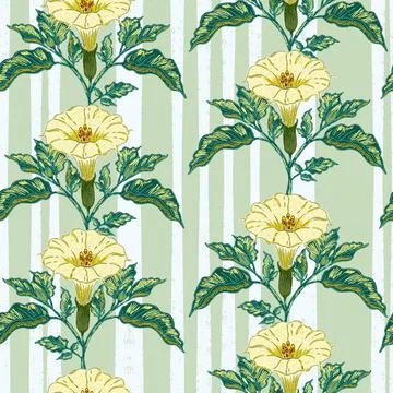 Datura flower seamless botanical pattern with vintage hand drawn floral illus イラスト素材