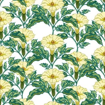 Datura flower seamless botanical pattern with vintage hand drawn floral illus Stock Illustration