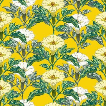 Datura flower seamless botanical pattern with vintage hand drawn floral illus Illustrazione stock