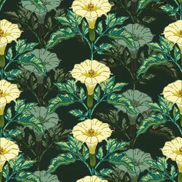 Datura flower seamless botanical pattern with vintage hand drawn floral illus Illustrazione stock