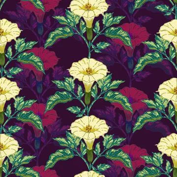 Datura flower seamless botanical pattern with vintage hand drawn floral illus Stock Illustration