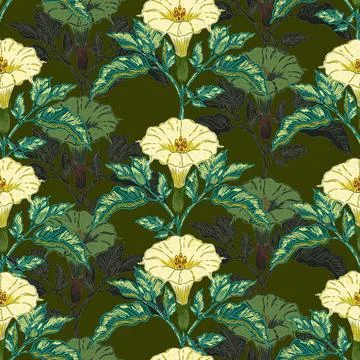 Datura flower seamless botanical pattern with vintage hand drawn floral illus Stock Illustration
