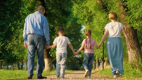 Daughter and son walk joining hands with parents in park on summer holidays Stock Footage 258965158