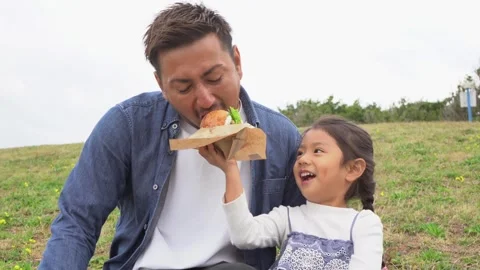 A Daughter's Smile as She Feeds Her Father a Hamburger in the Meadow Stock Footage 333185479