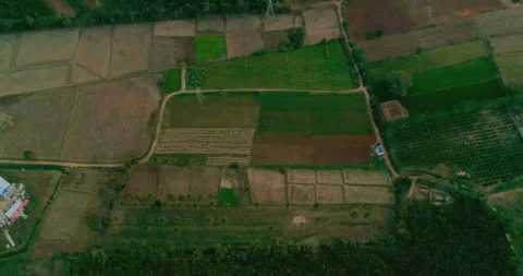 Davanagere's green fields, featuring patchwork farmlands and surrounding Stock Footage 289325503