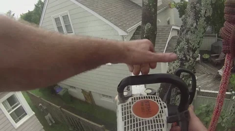 Dave Cut 3 Stock Footage 48997556