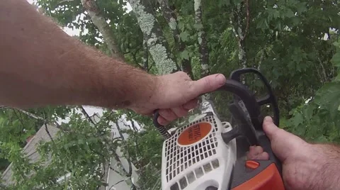 Dave Cut 4 Stock Footage 48997698