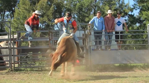 Dave Mason Practice Bull ride Stock Footage