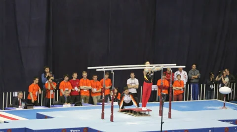 David Belyavskiy Stock Footage 29666045