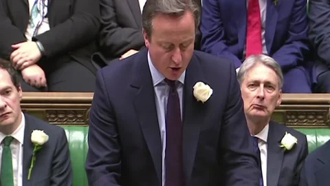 David Cameron pays tribute to Jo Cox Stock Footage 149143637