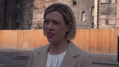 David Davis should not have 'hid behind parliamentary privilege' with Sturgeon  動画素材 339888081