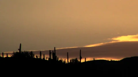 David Kull Stock-Footage 34321664