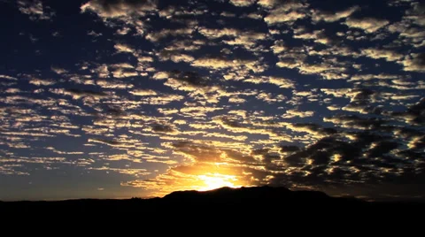 David Kull Video stock 34323294