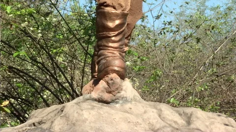 David Livingstone Statue 스톡 동영상 47492922