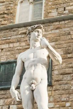 David of Michelangelo, Florence Stock Photos